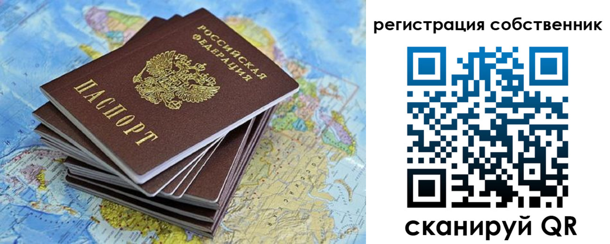прописка в Борзе