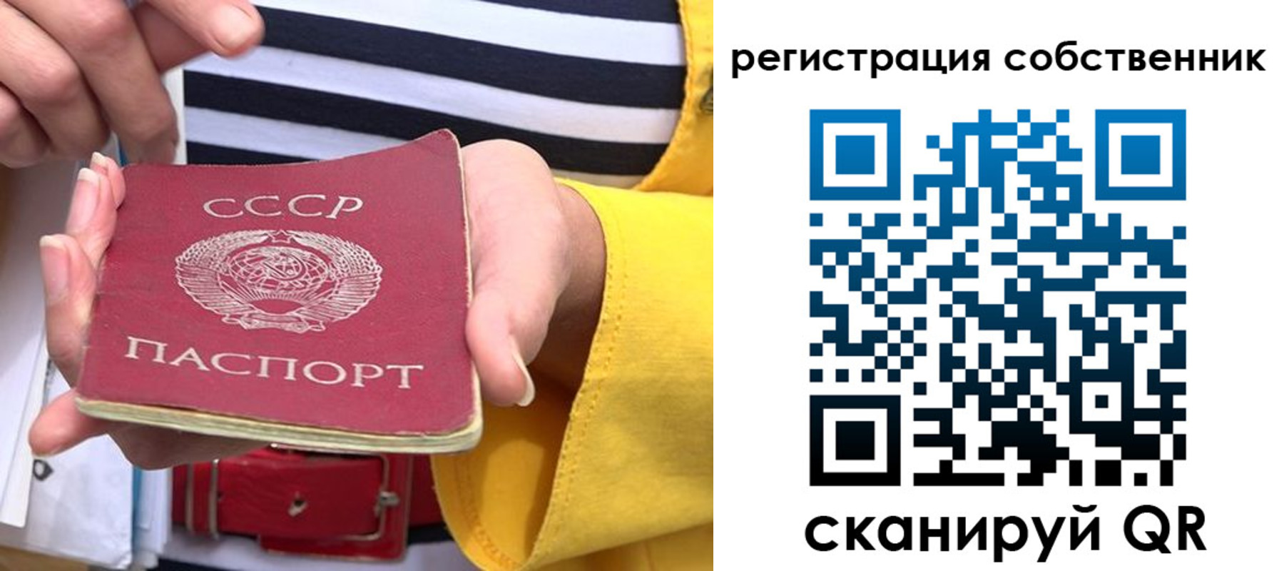 временная прописка в Борзе