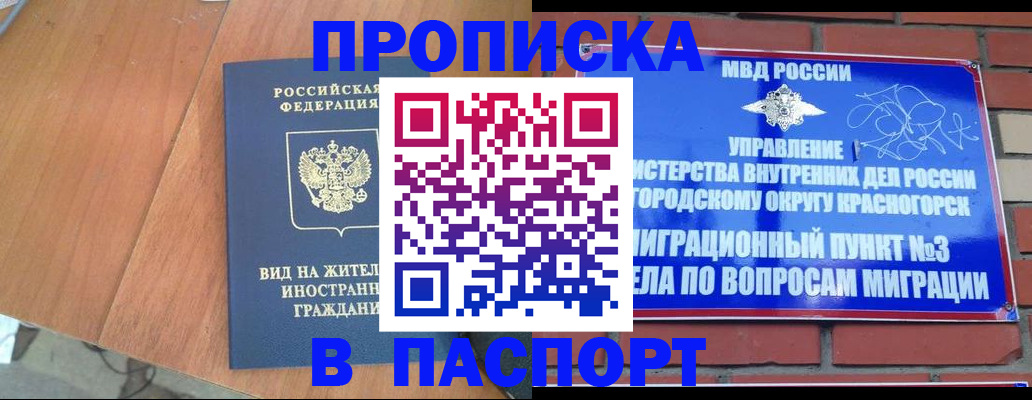 найти адрес прописки в Борзе
